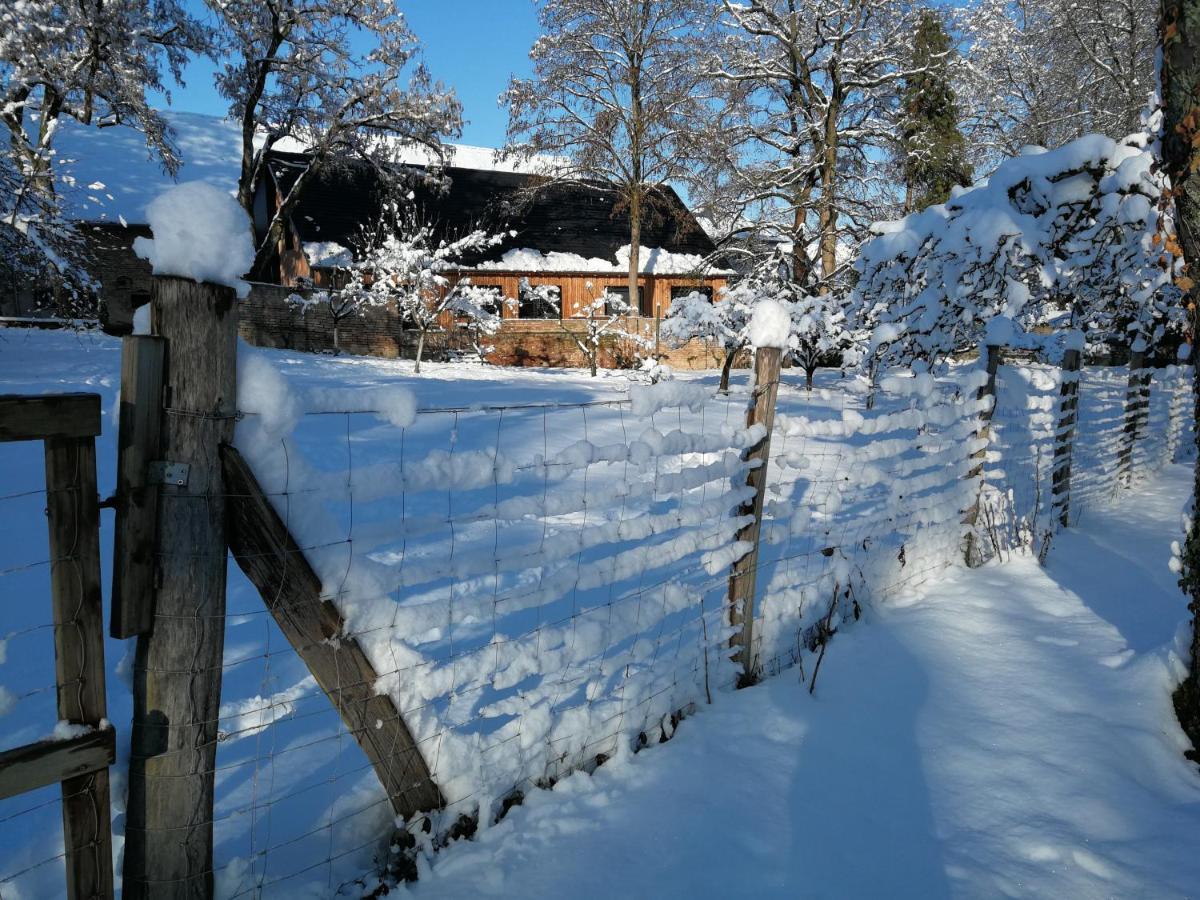 Gite Spacieux Et Cosy A La Campagne Proche De Strasbourg Achenheim Екстер'єр фото