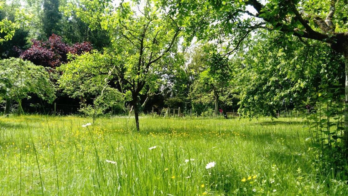 Gite Spacieux Et Cosy A La Campagne Proche De Strasbourg Achenheim Екстер'єр фото